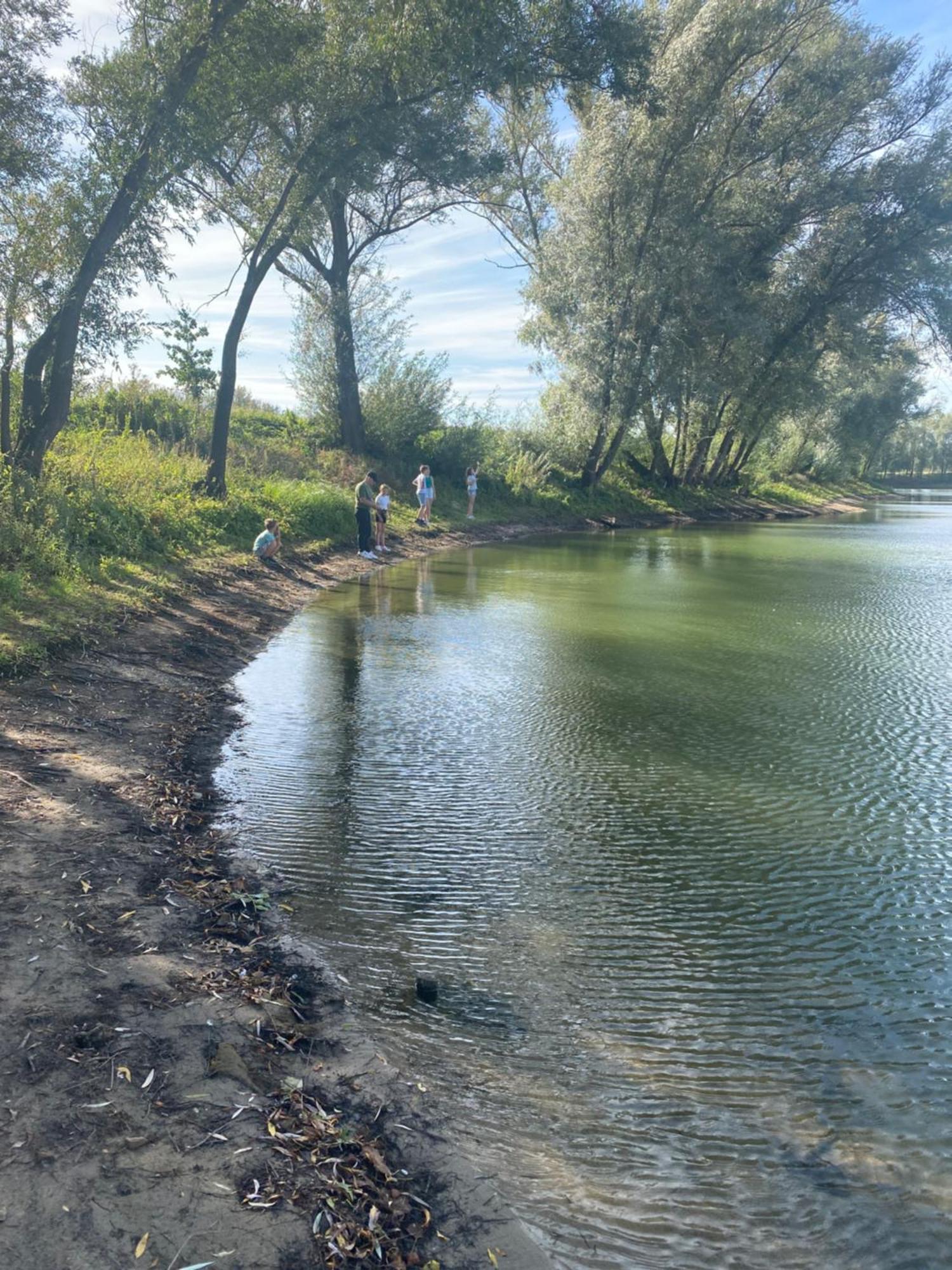 Luxus Cube Ferienhaus Chalet Am See Mit Schwimmbad In Lathum Nl Zewnętrze zdjęcie